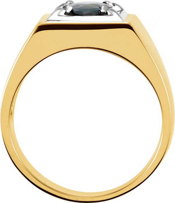 14K Yellow/White Natural Blue Sapphire Illusion Ring - 9518